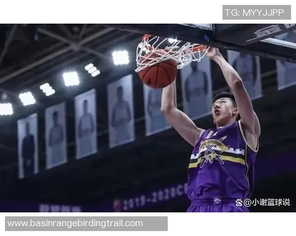 王少杰：从篮球新星到职业生涯的璀璨之路与挑战探索