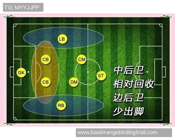 深入解析足球单场赛事的战术布局与球员表现的影响因素