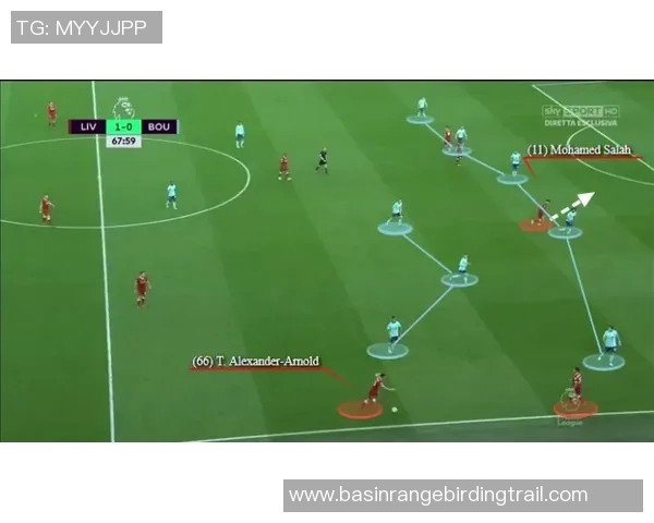 美巡赛的辉煌历程与未来展望：高尔夫运动的全球影响力与发展潜力