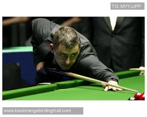 丁俊晖与瑞妮埃文斯巅峰对决乒乓球赛场上的精彩瞬间与战术较量