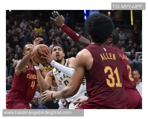 骑士队与森林狼的激烈对决回顾与精彩瞬间分享