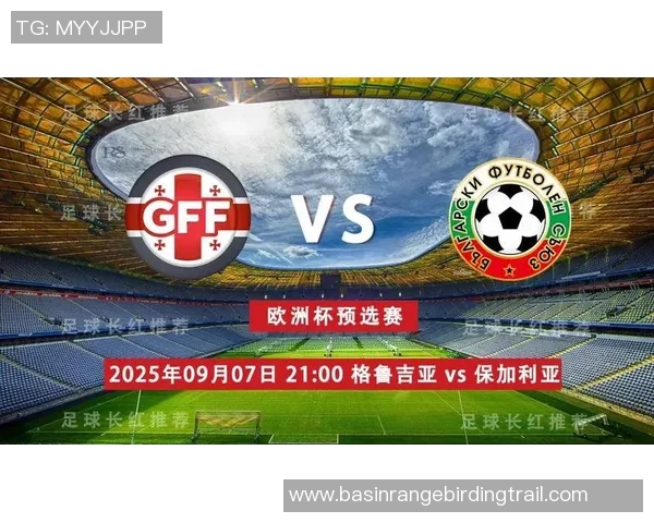 欧预赛精彩对决格鲁吉亚迎战瑞士全场直播信息抢先看