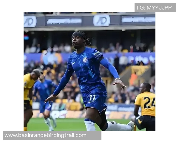 累体育与帕梅拉斯比赛前瞻分析及胜负预测详解