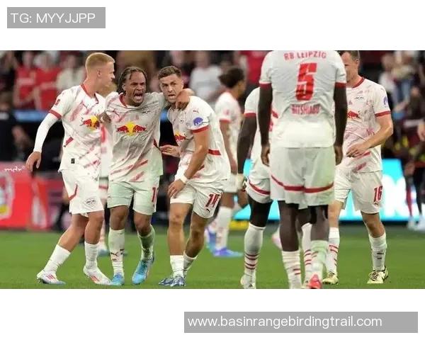 多特蒙德与莱比锡红牛对决谁将赢得胜利分析与预测