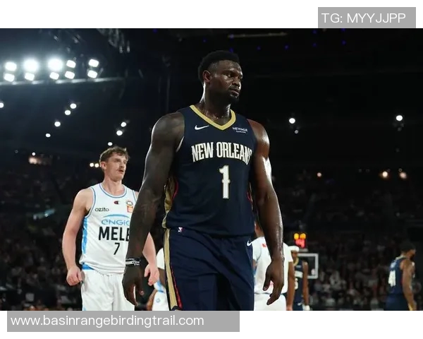 锡安体重问题持续发酵鹈鹕队聘营养师全程跟踪管理