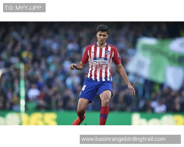 罗德里：从青训新星到世界顶级中场的成长之路与辉煌成就