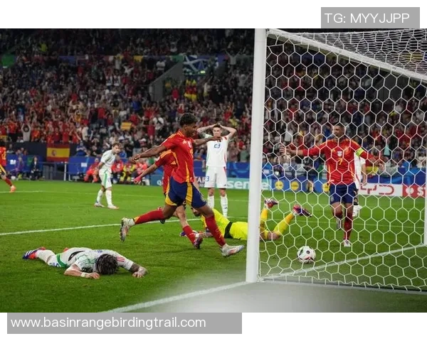 西班牙与克罗地亚足球历史交锋战绩回顾与分析