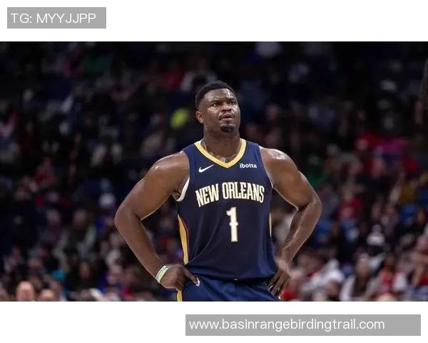 锡安领衔精彩对决骑士与鹈鹕的巅峰对抗集锦回顾