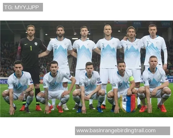 斯洛文尼亚与波兰足球对决前瞻及比分预测分析