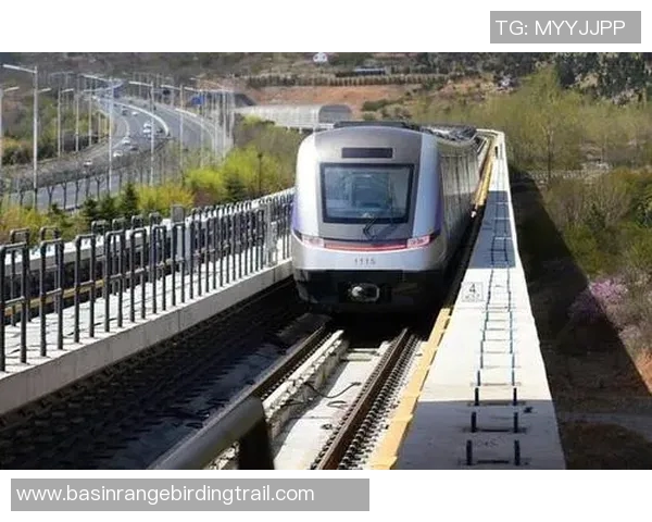 金海市与大田地铁的未来发展对比与启示探讨