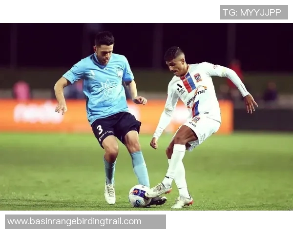 悉尼与惠灵顿凤凰的精彩对决比分揭晓，赛季战况分析与未来展望